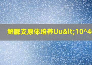 解脲支原体培养Uu<10^4cfu